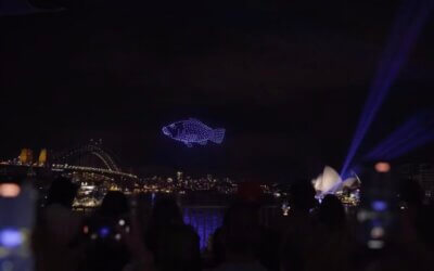 Mirragin and partners deliver drone sky show